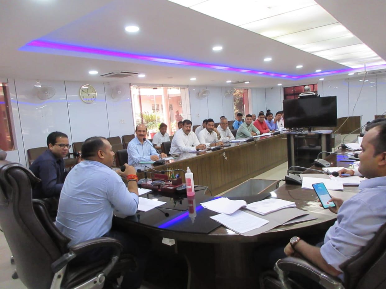 Mark the land in gram panchayats and free them from possession: DM