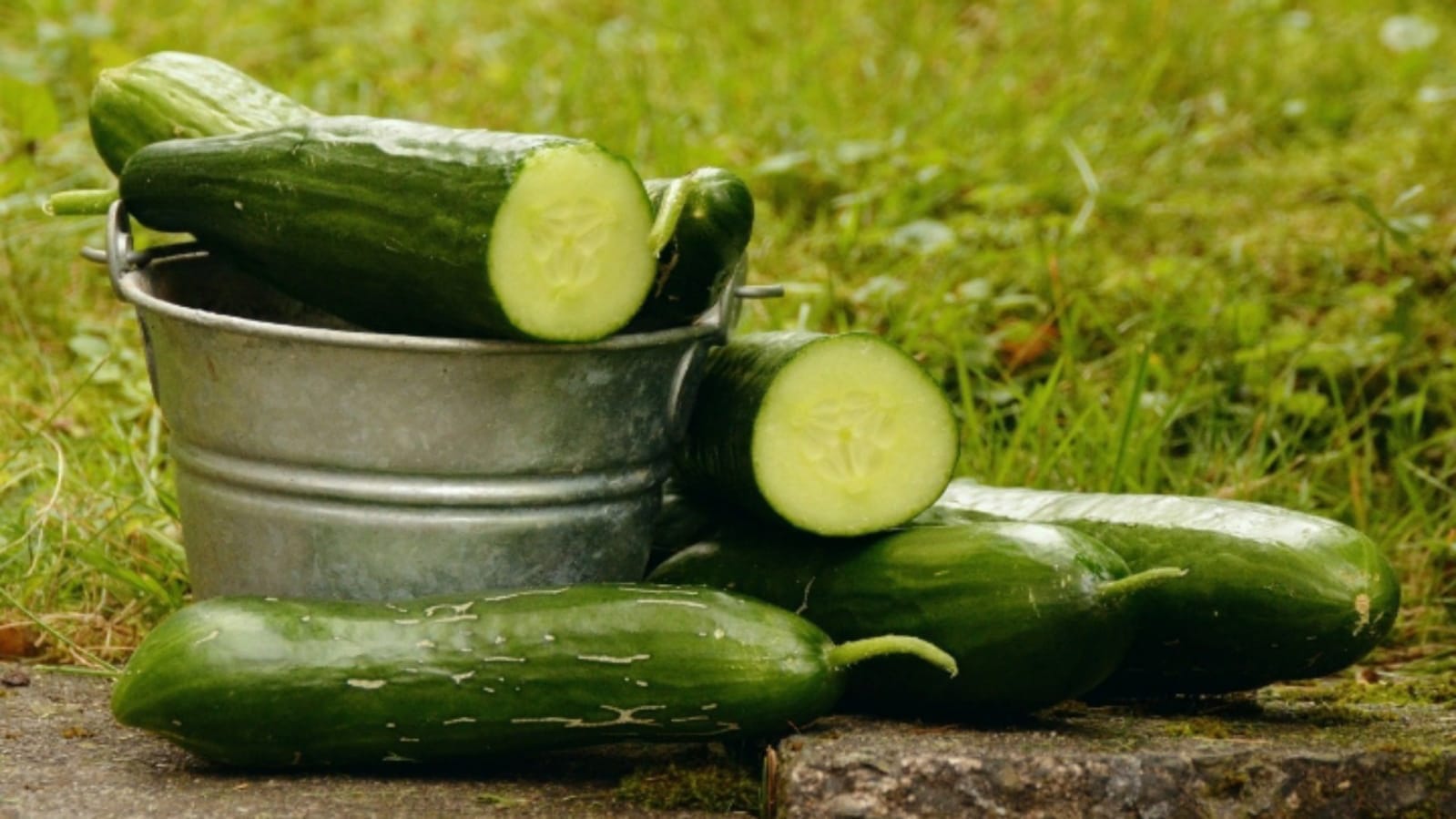 cucumber face pack for remove facial marks and acne scars