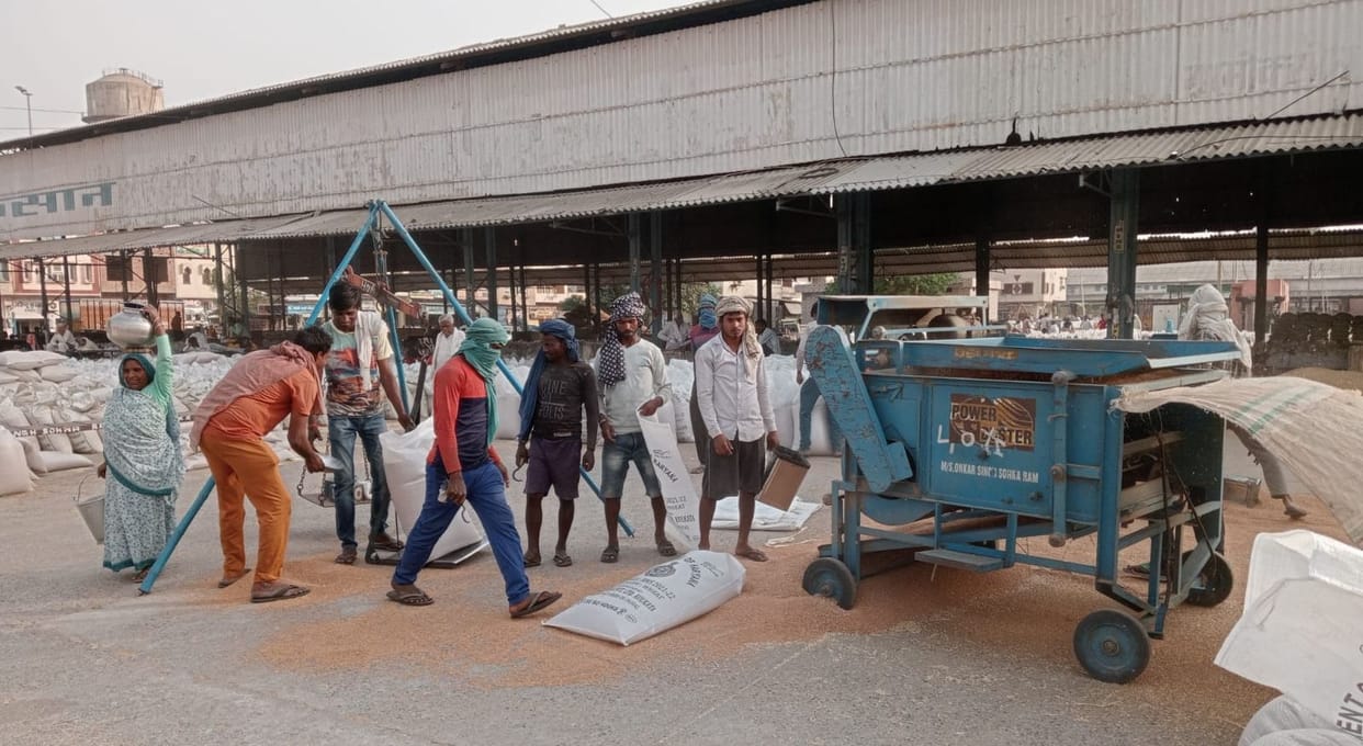 Agencies lifted 11 thousand metric tons of wheat in a single day