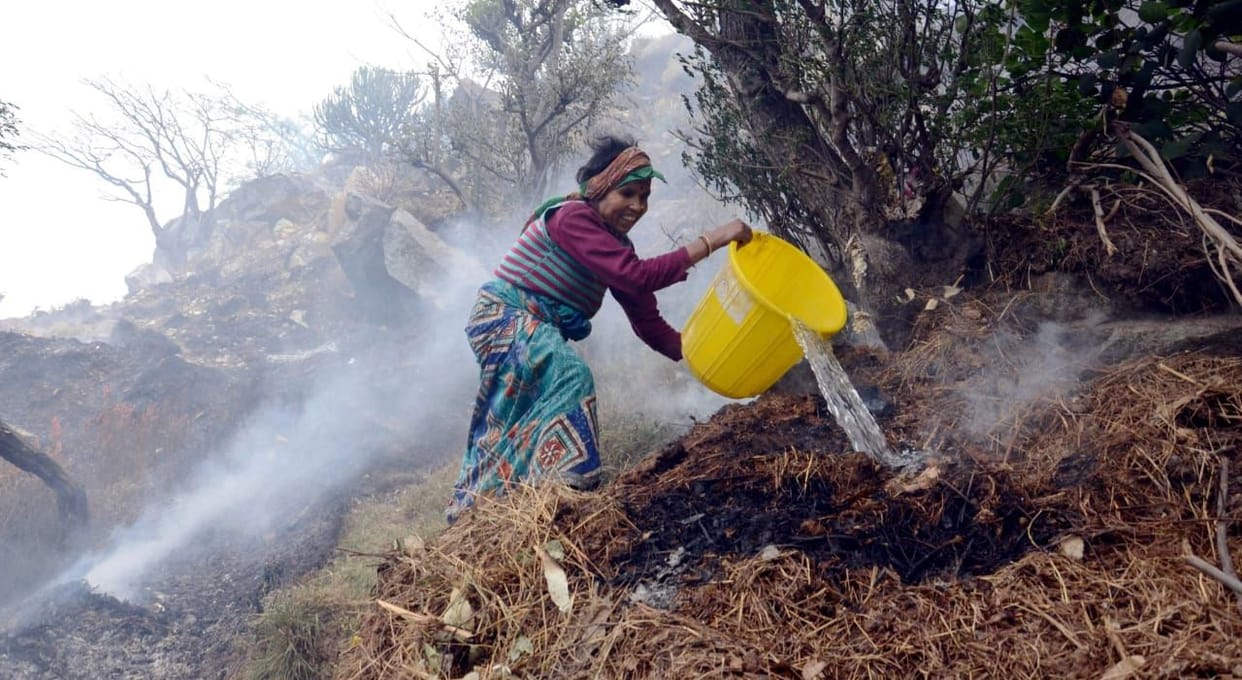 Forest fire reached houses and cowsheds