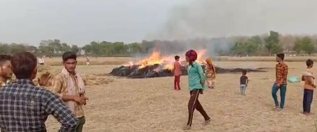 Hathras: Wheat crop ashes due to sudden fire