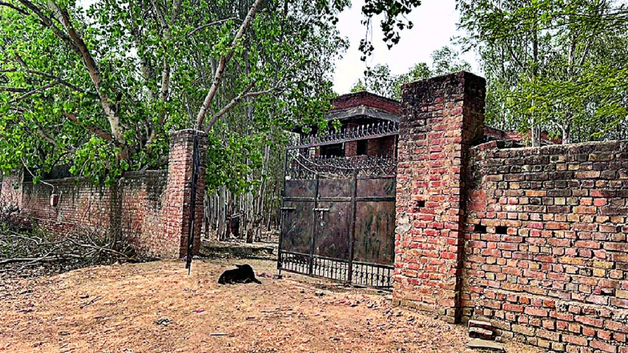 Delhi: Cow slaughter at farm house, five arrested police on the lookout for those accused of killing the caretaker
