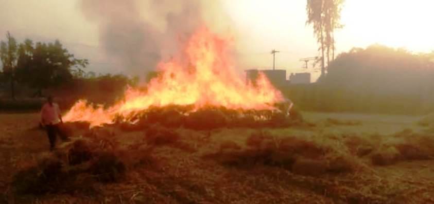 fire in wheat field