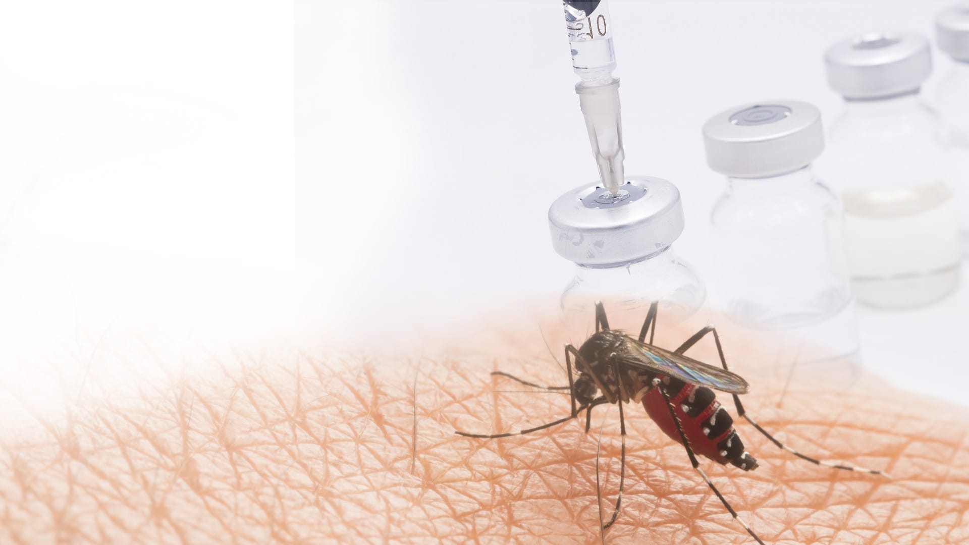 What Is Rift Valley Fever Virus Spread in Human Cells Discover by Kashmir Based Virologist