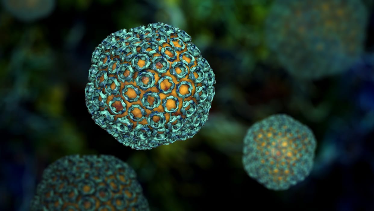 Zoonotic Langya Virus Found in China amid covid-19