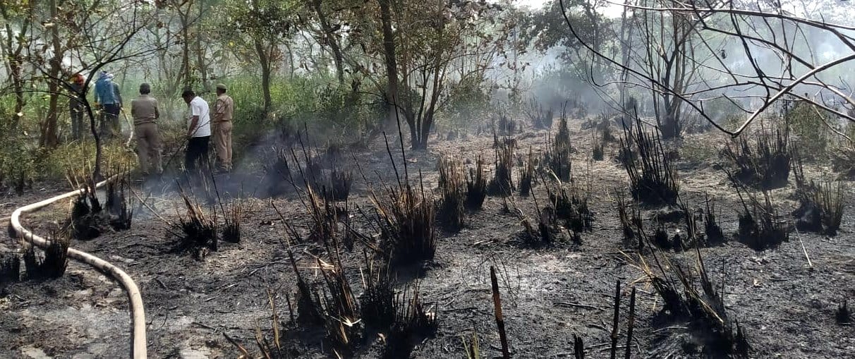 Fire broke out in forest department's forest, fire brigade found it under control