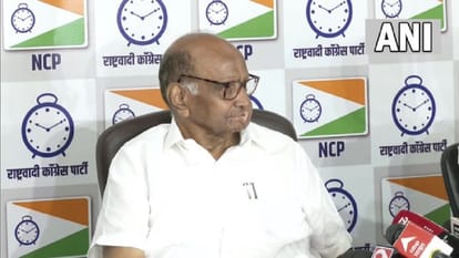 Sharad Pawar decides not to quit, Pawar’s U­turn came after the committee set up