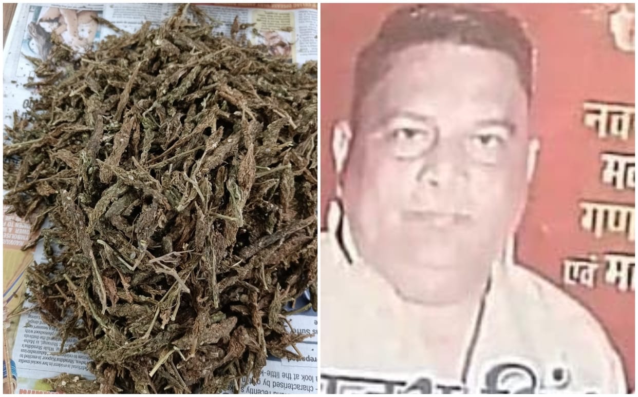 Big success for DRI Varanasi team ganja smuggling gang mastermind arrested who was absoconding for  long time