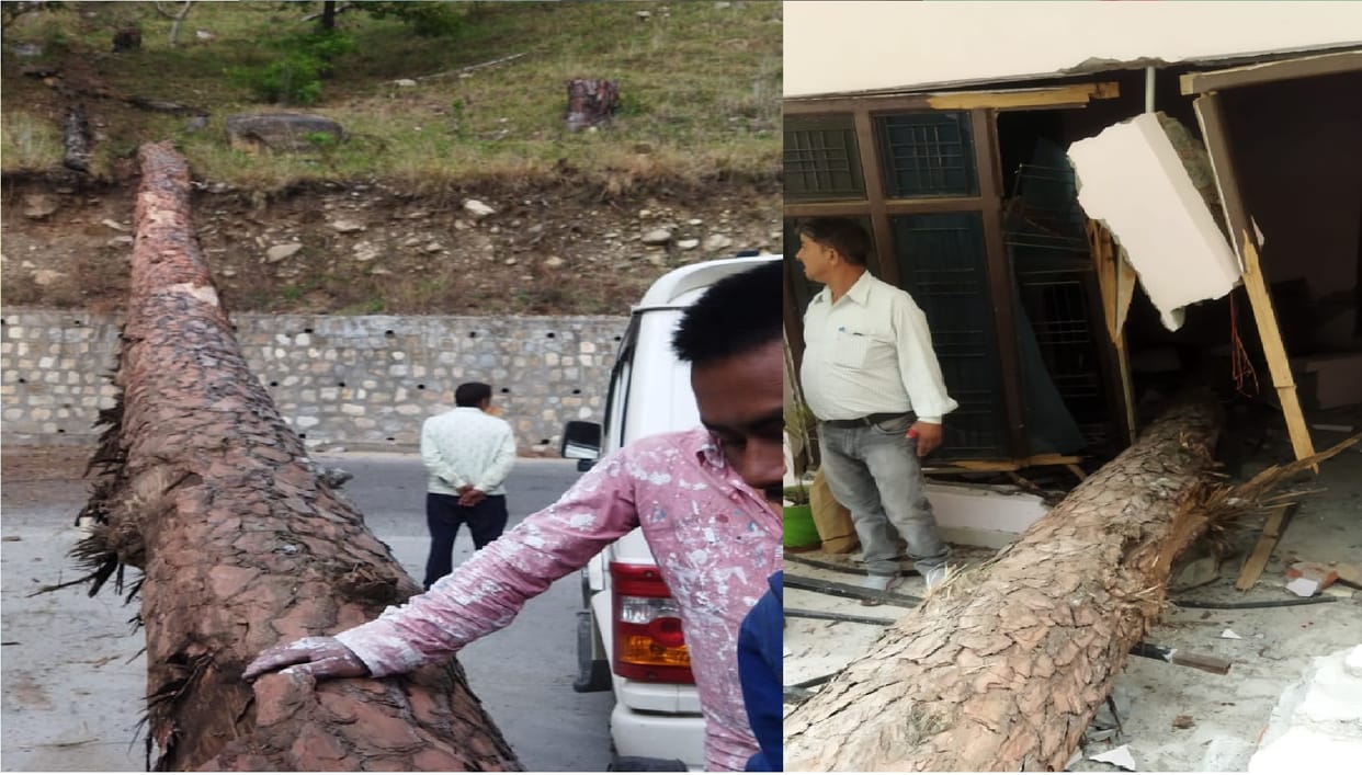 weather Uttarkashi Rain stops forest fires two injured due to falling trees in Ganganadi