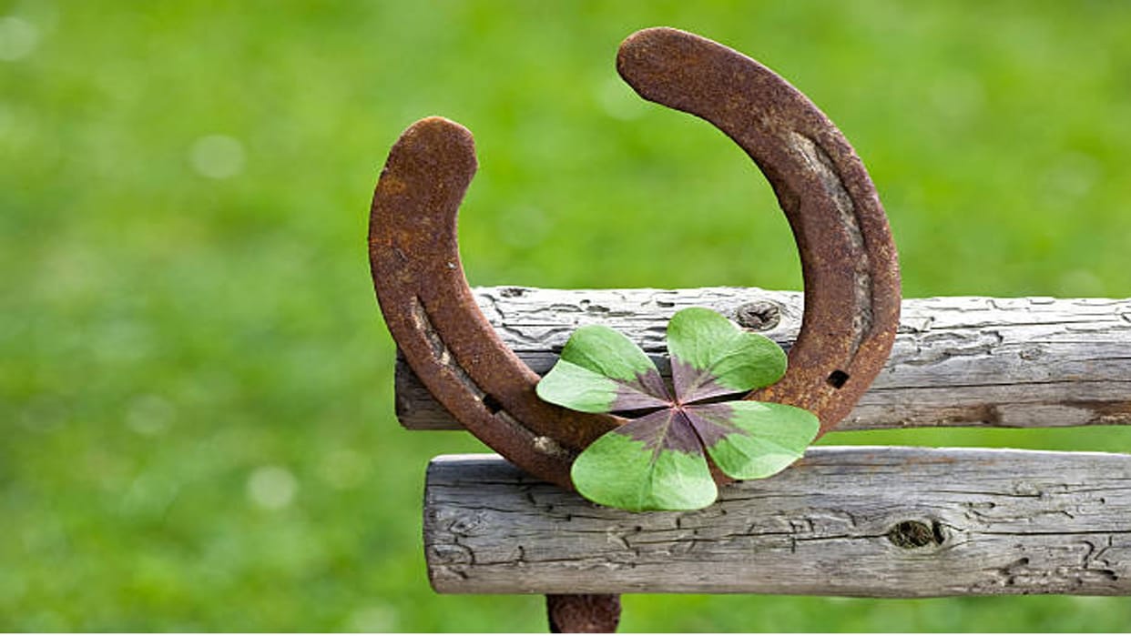 Astrology Use Horseshoe Like This a Lot of Progress in Job and Business