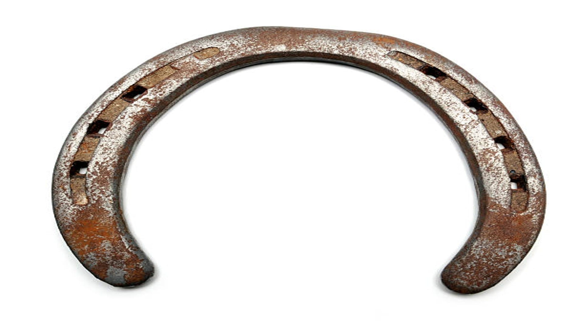 Astrology Use Horseshoe Like This a Lot of Progress in Job and Business
