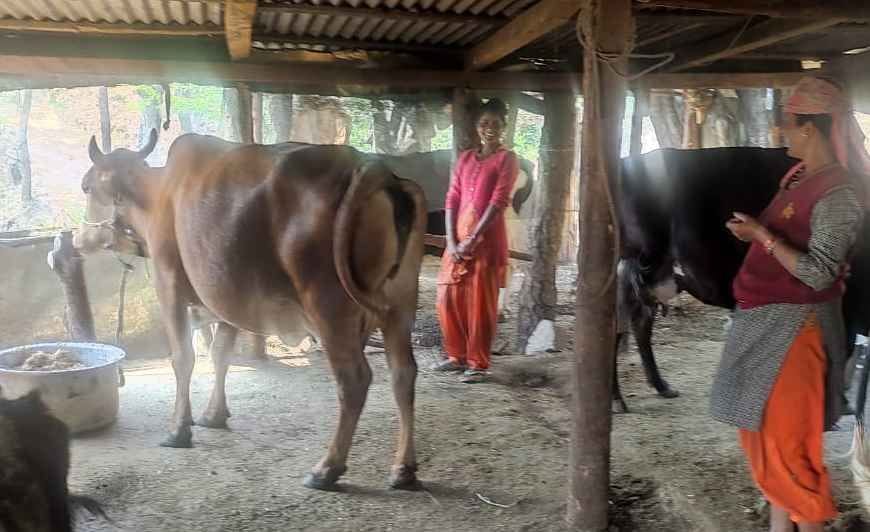 Dairy Creates Livelihood