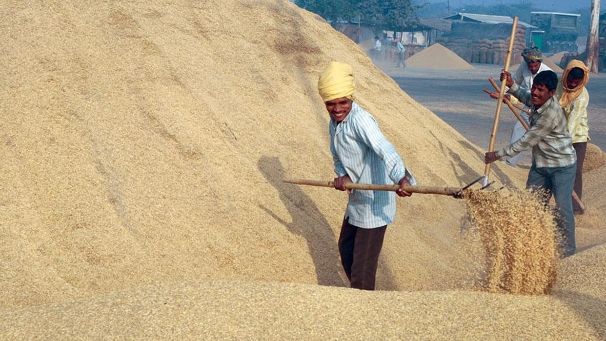 CMIEE Production of grains, pulses and oilseeds may decrease