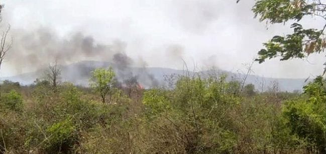 Fire in the forest of Agar and Bharatpur