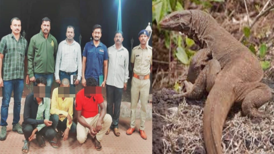 Four persons were arrested for allegedly raping a Bengal monitor lizard in Sahyadri Tiger Reserve, Maharashtra