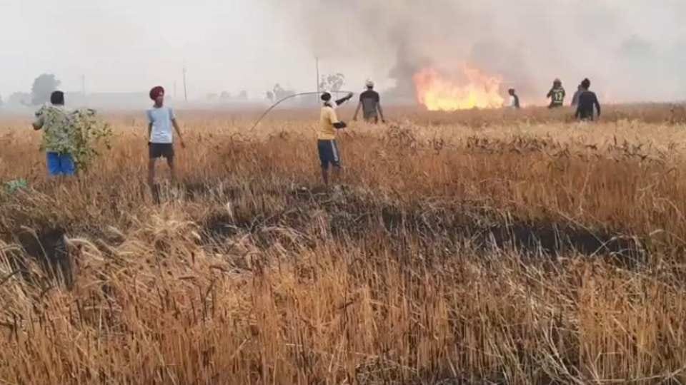 Wheat crop on 400 acres gutted in fire in Ludhiana