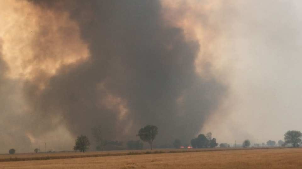 Wheat crop on 400 acres gutted in fire in Ludhiana