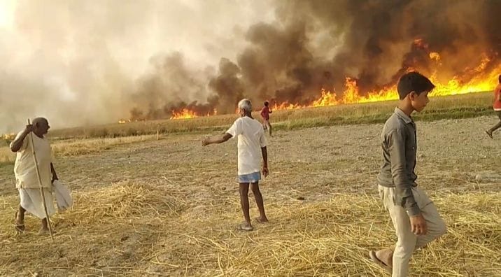 100 acres of wheat crop ashes due to spark from electric wire