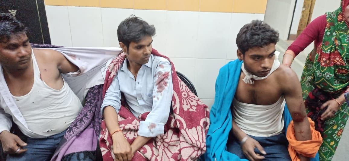 Tiger swung, three bike riders injured