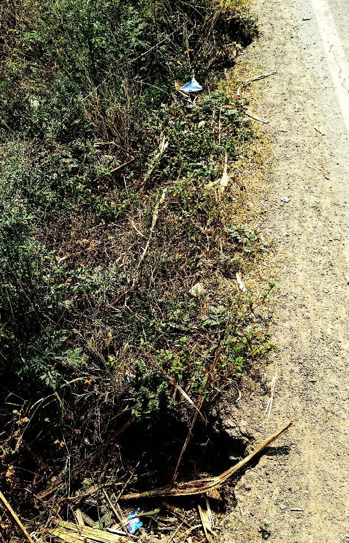 Lipulekh-Bhind highway turned into potholes, Pipariya Khushali longed for the culvert