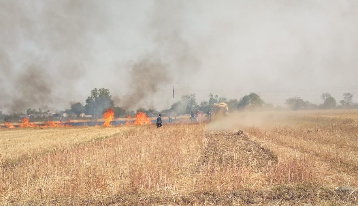 Fire caused by short circuit, one and a half bighas of wheat ash