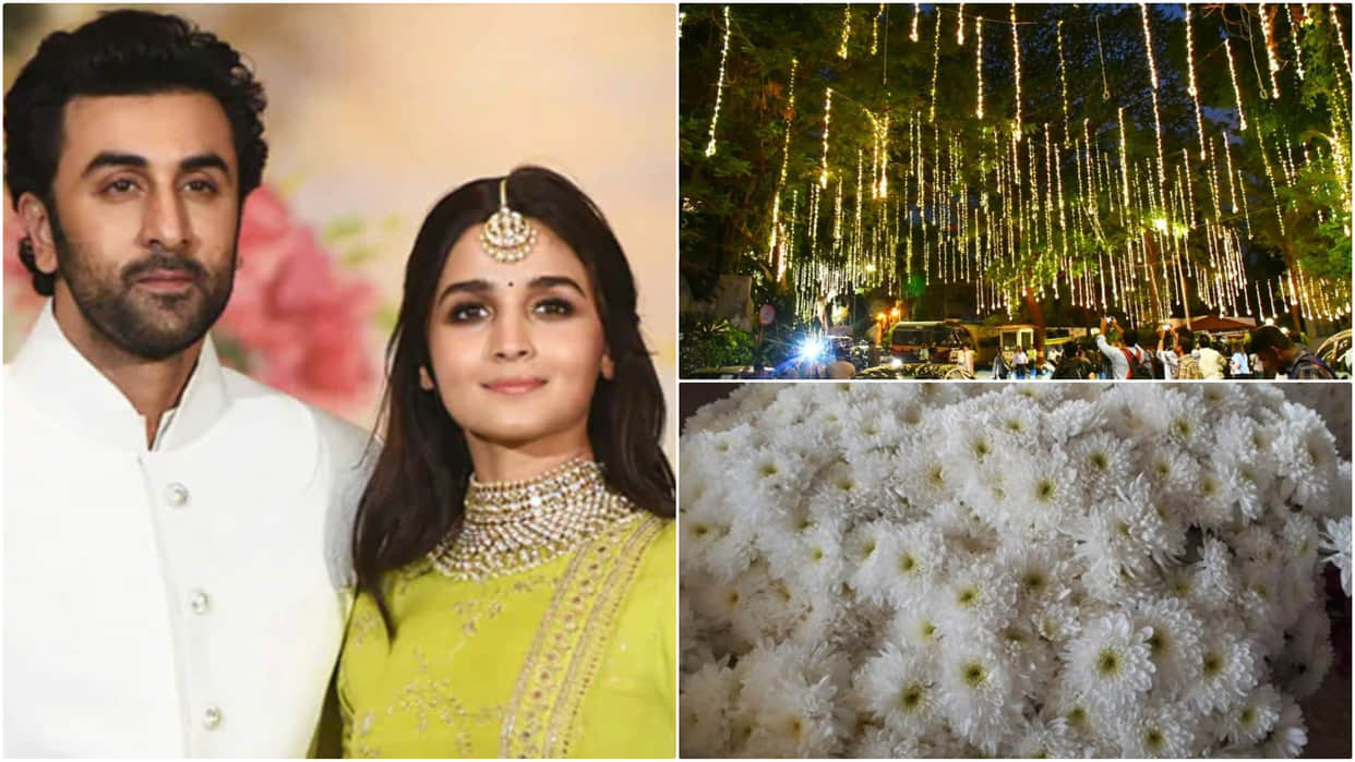 Ranbir Kapoor and Alia Bhatt Wedding venue is decorated with Bangalore’s chrysanthemums and button flowers