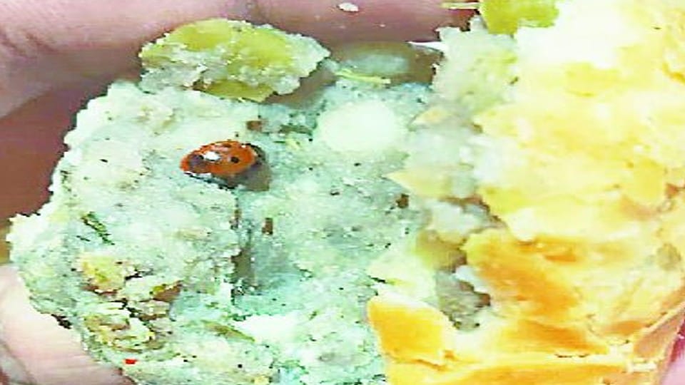 Insect found in samosa customer complained to FSDA in agra