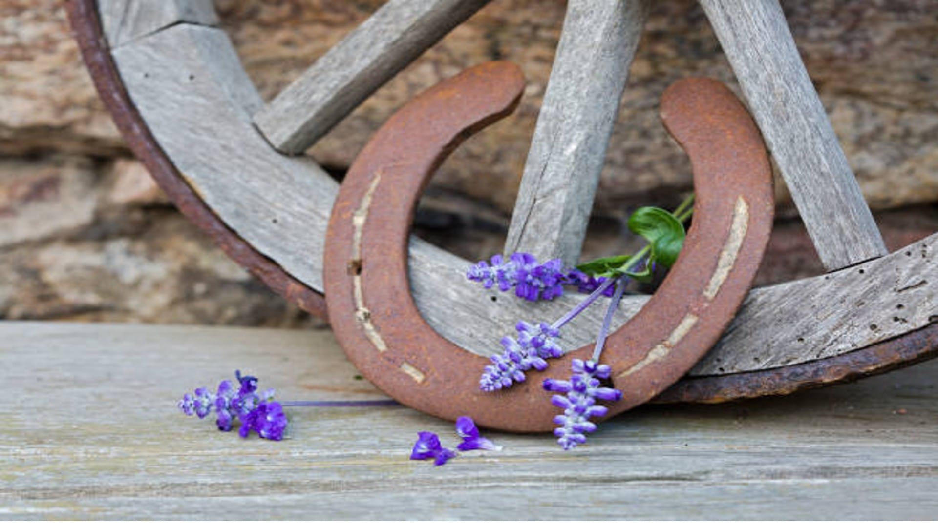 Astrology Use Horseshoe Like This a Lot of Progress in Job and Business
