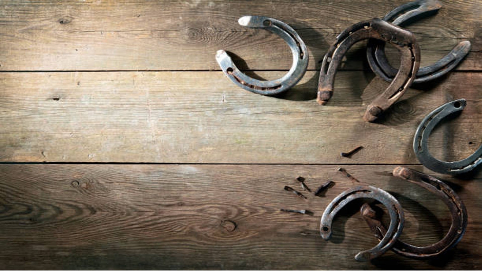 Astrology Use Horseshoe Like This a Lot of Progress in Job and Business