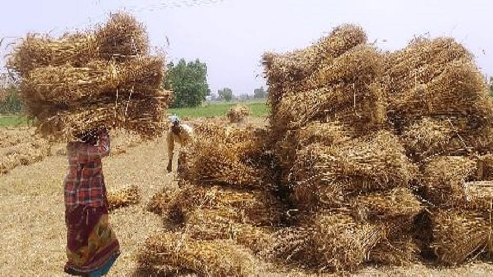  strong storm has increased the concern of the farmers
