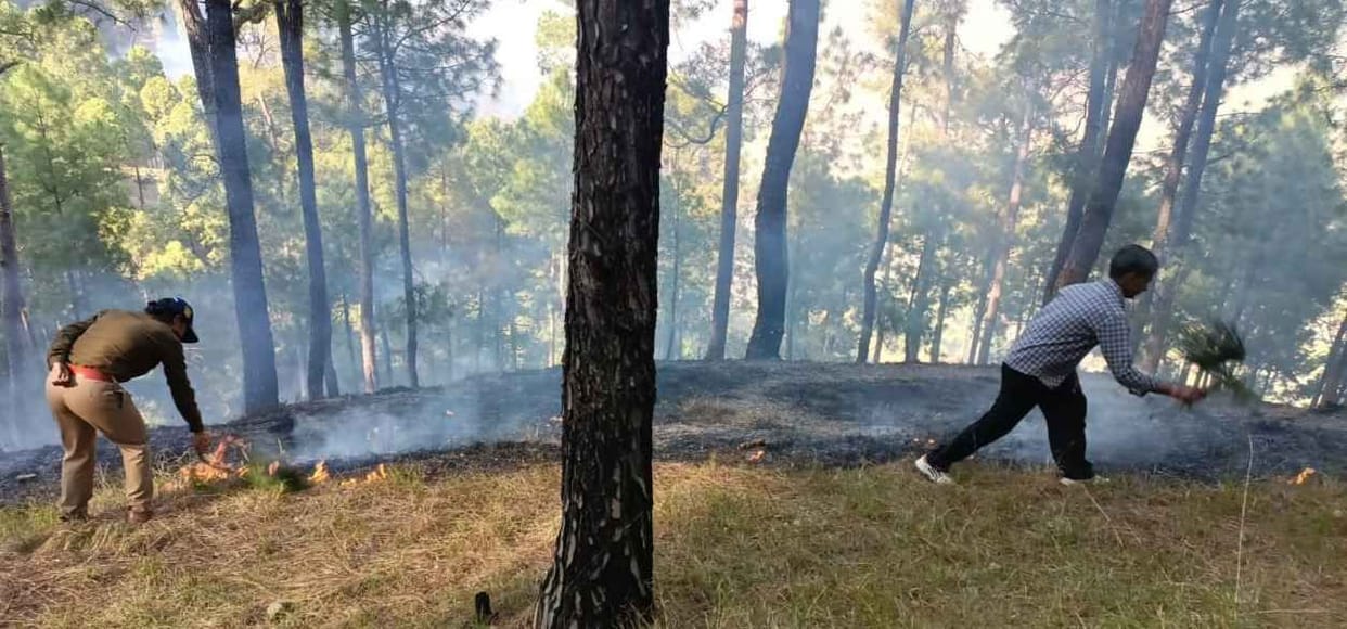 Three Arrested in Connection of Forest Fire