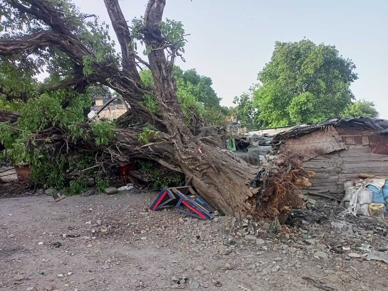Fallowup of Tanakpur Accident