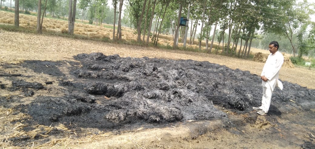 Burned six bighas of wheat crop