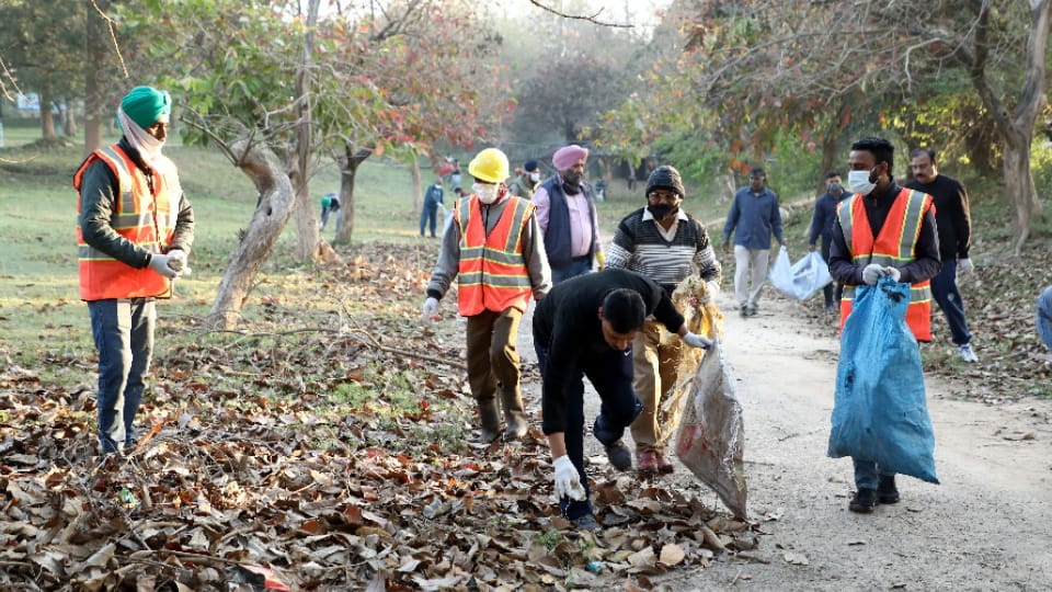 Chandigarh Municipal Corporation going to set up plant for disposal of horticultural waste