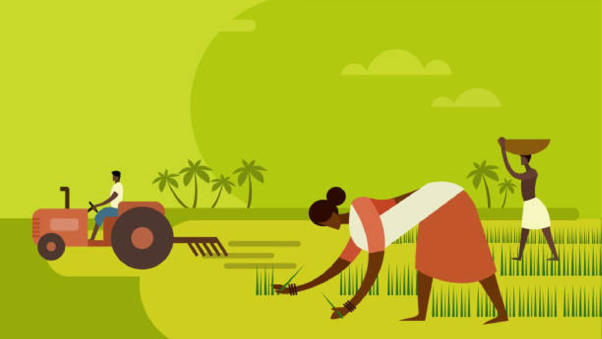 Ancestors Height Decreased by Farming Know What Scientist Study Revealed News In Hindi