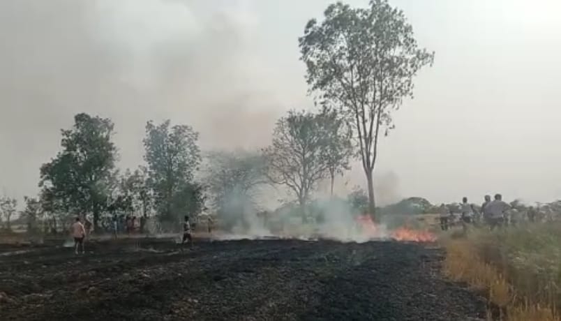 Fire in the fields, 16 bighas of wheat crop ashes