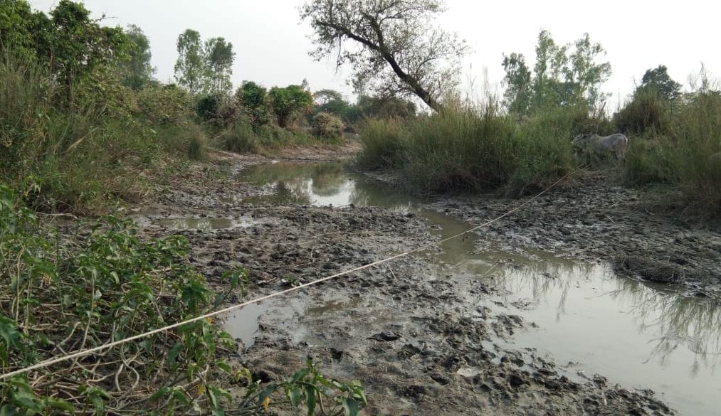 sai rever full of mud