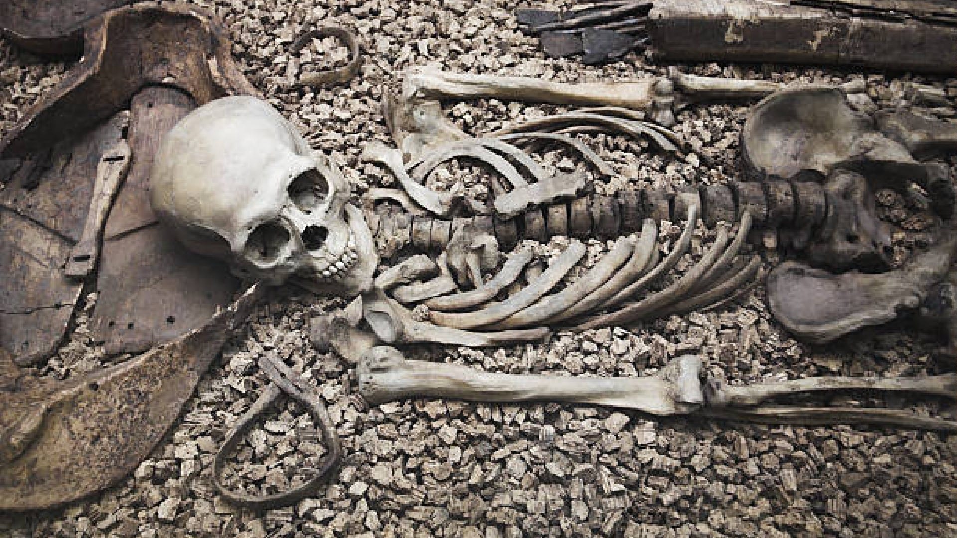 Ancestors Height Decreased by Farming Know What Scientist Study Revealed News In Hindi
