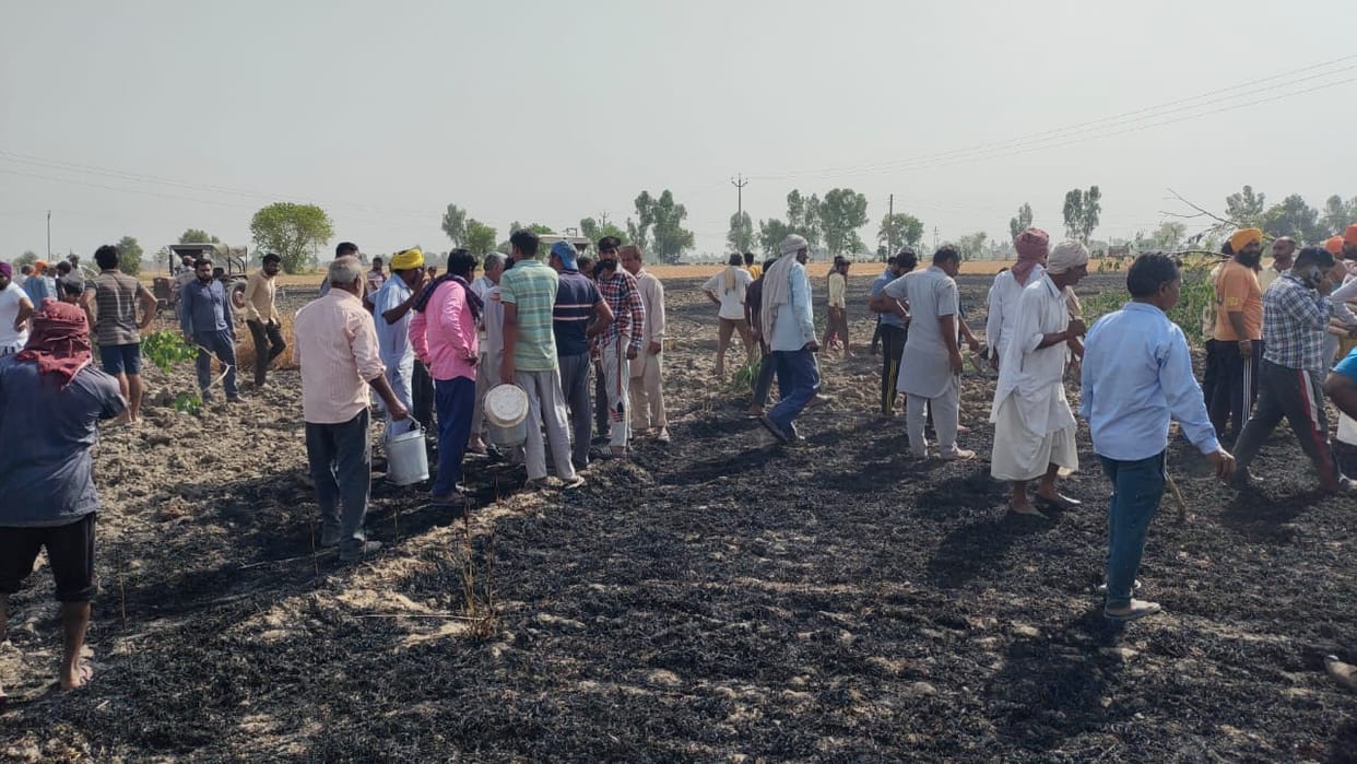 four acres of wheat crop ashes