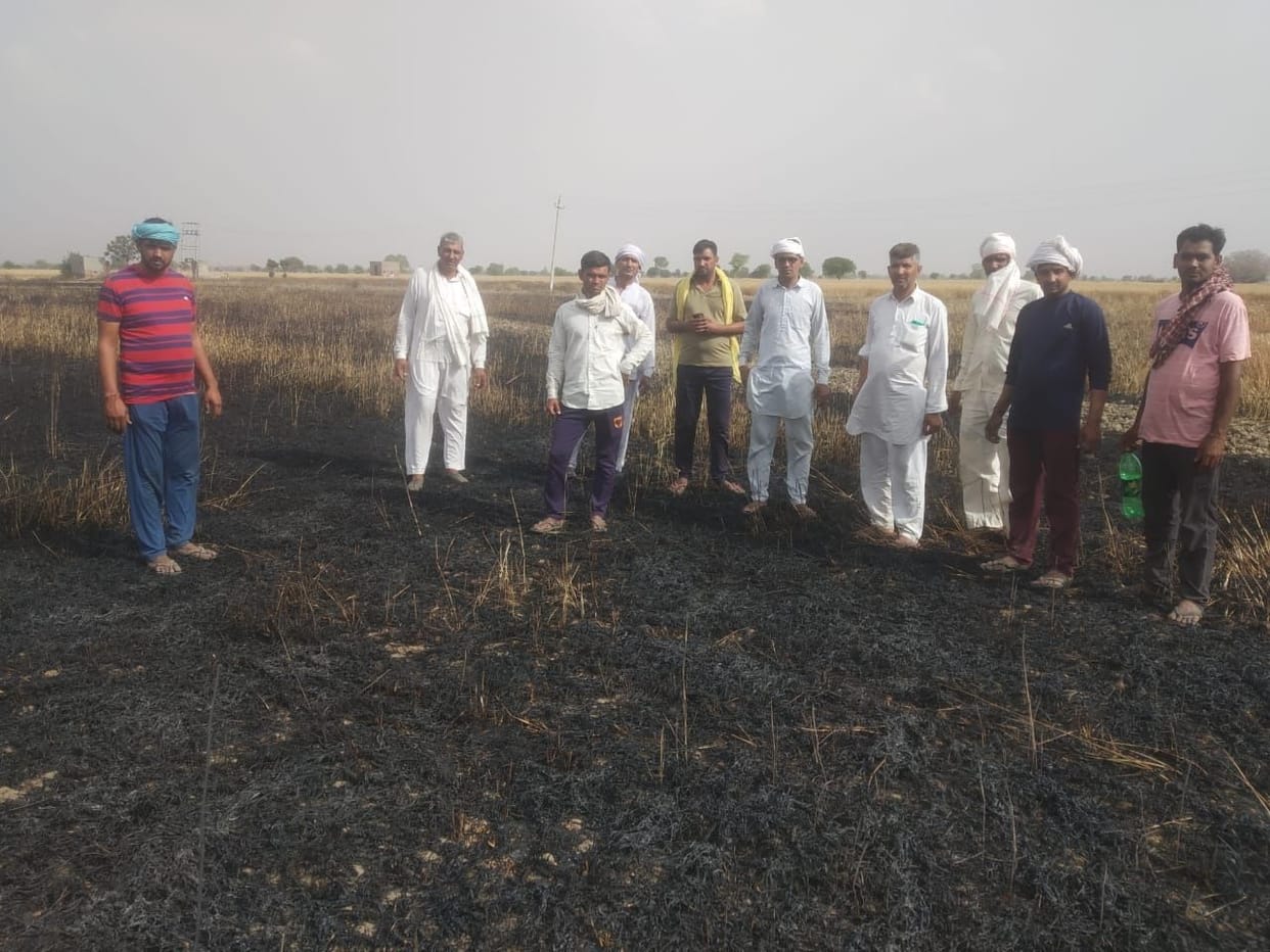 Wheat crop burnt in seven acres