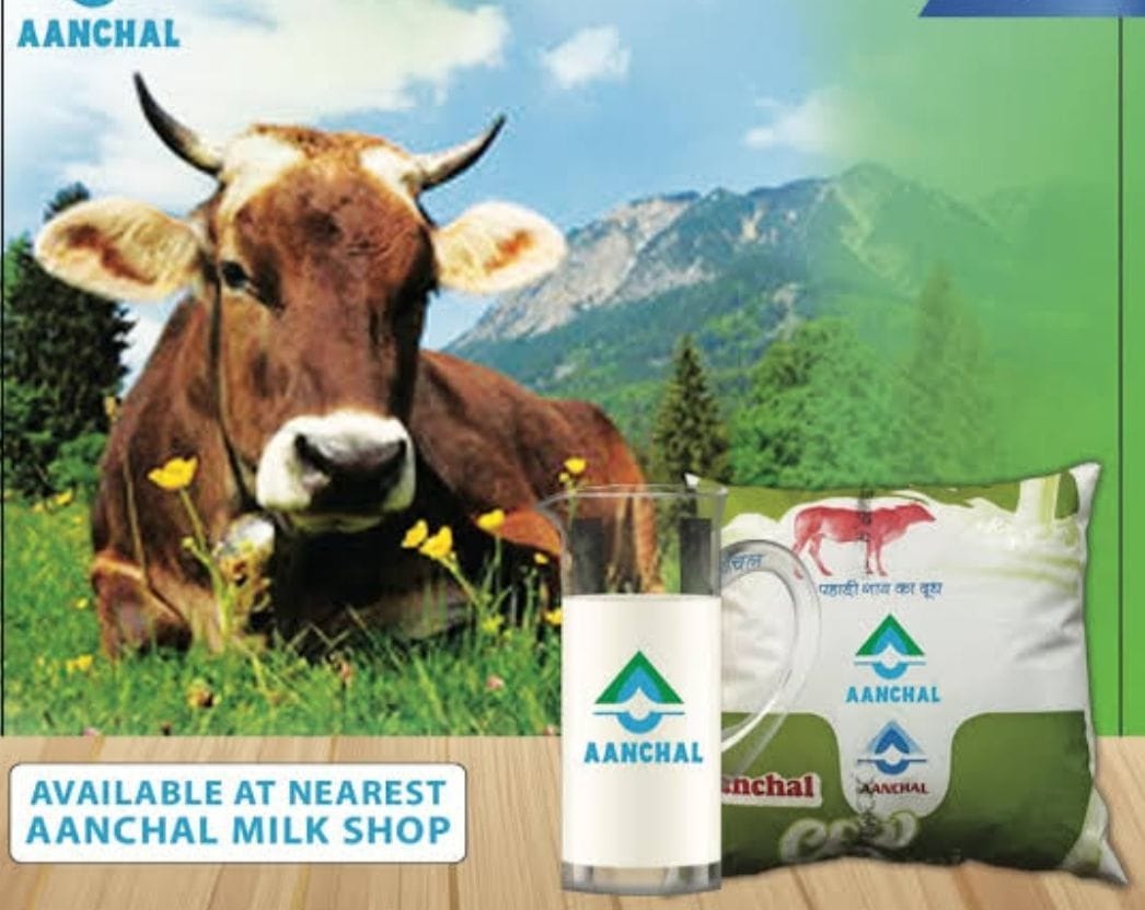Cow Milk will be Launched By Almora Milk Federation
