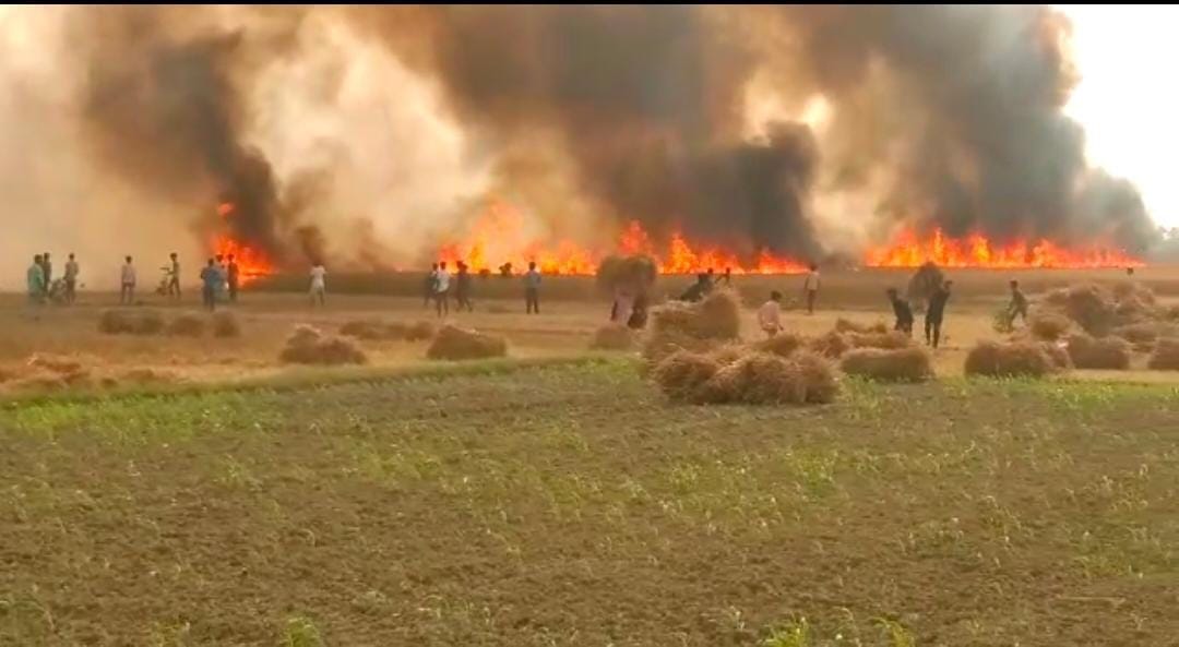 Crop ashes of many farmers of two villages