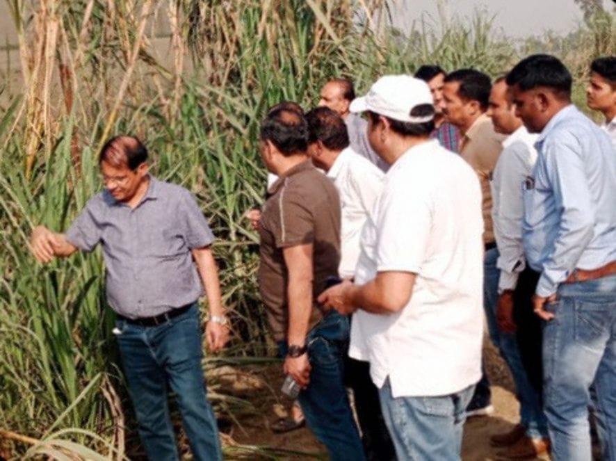 The mill administration honored the father of sugarcane species 15023