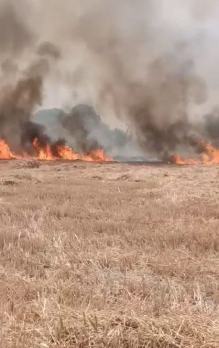 12 acres of crop in Dadaula, combine burnt