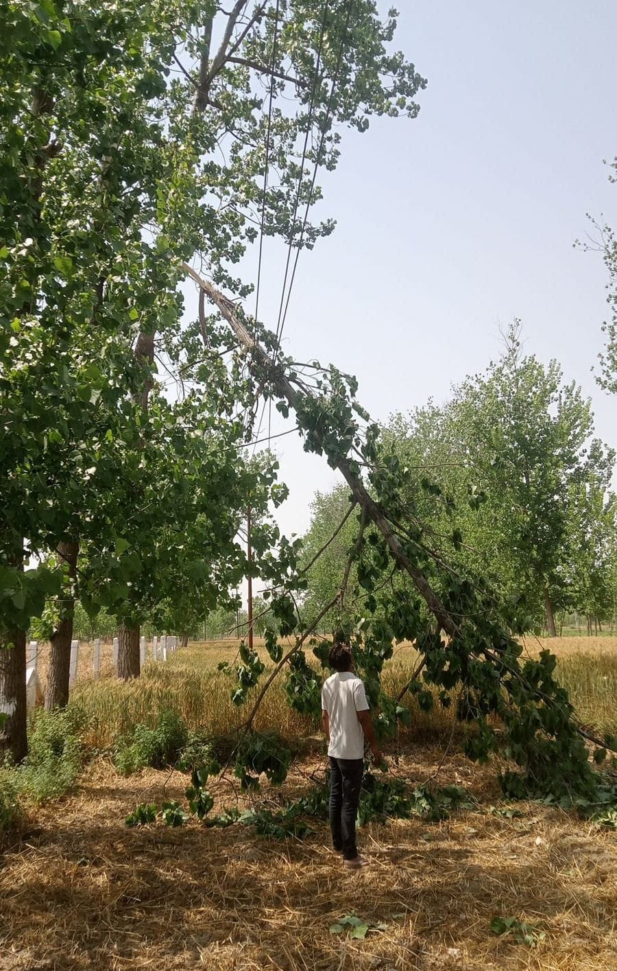 Farmers upset due to the storm, public hustle