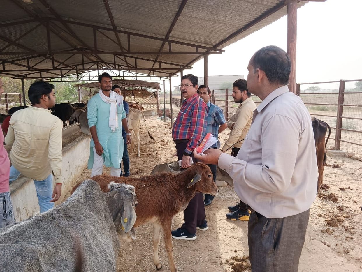 etawah news,Cows found hungry in cowsheds, two secretaries suspended