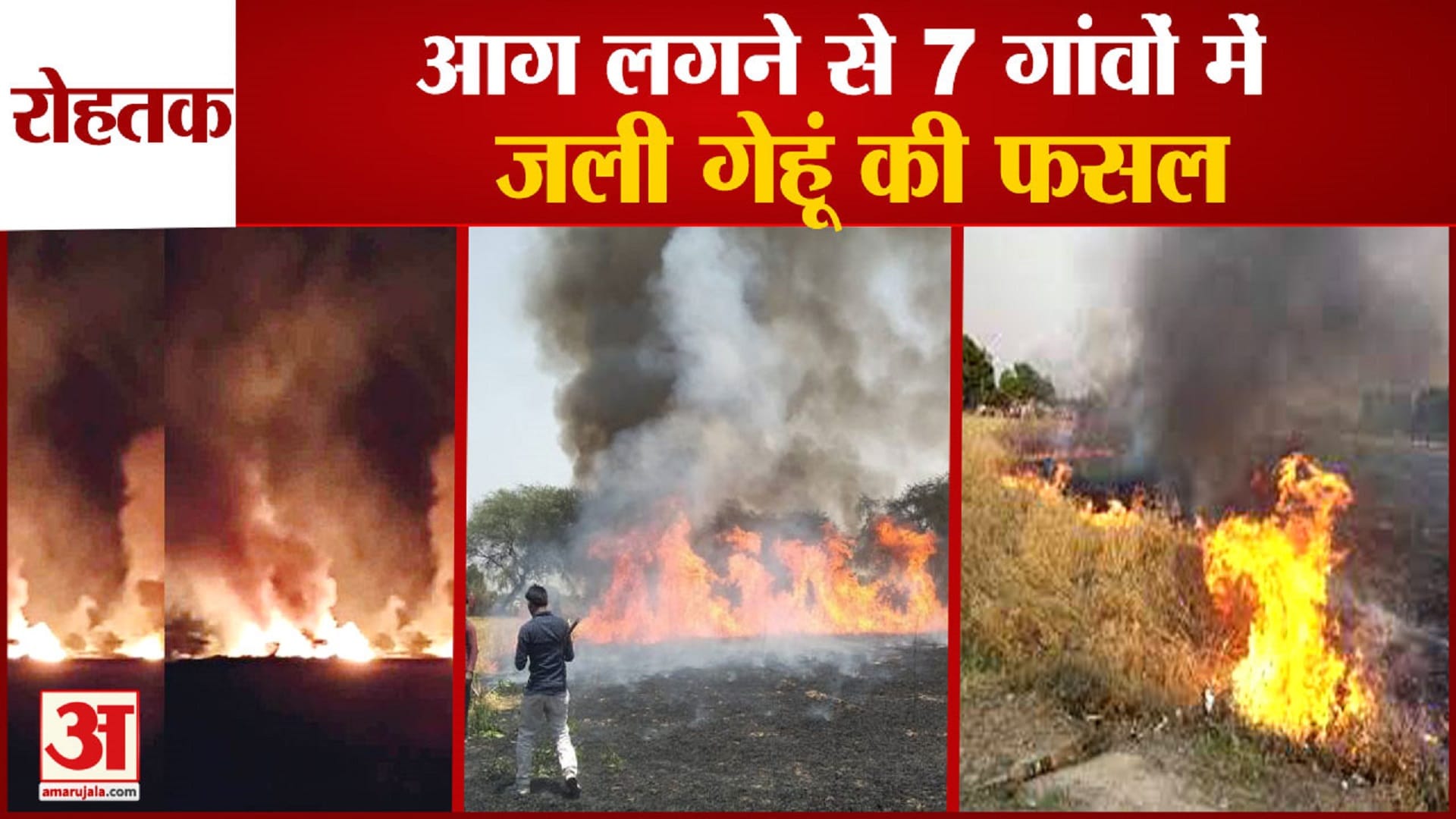 रोहतक
