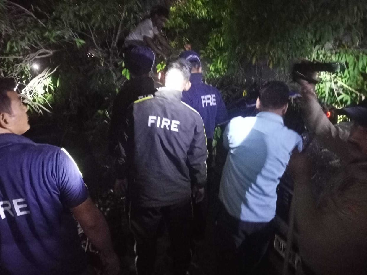 Death By Tree in tanakpur