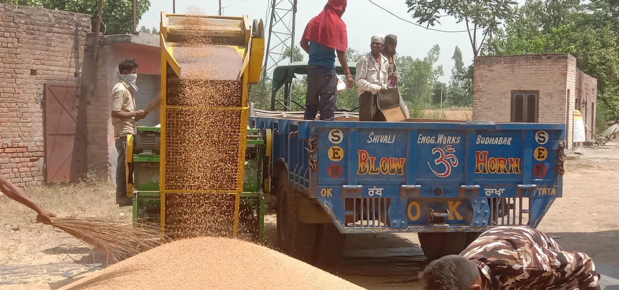 Wheat procurement has not started, claims fail