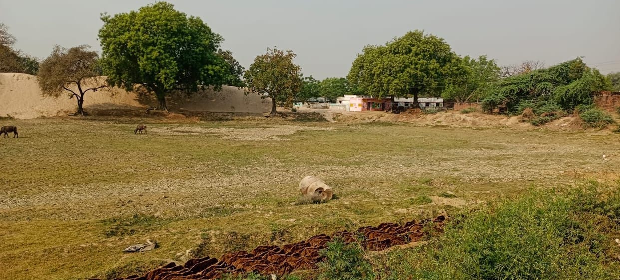 Dried ponds, drinking water crisis for cattle